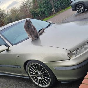 Vauxhall Calibra ; 2.5 V6; 6 gear transmission