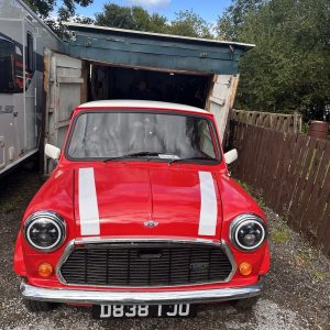 1986 Austin Mini Saloon