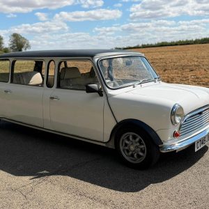 1985 Austin Mini limousine, 6 seater, professionally built,tax/mot exempt.